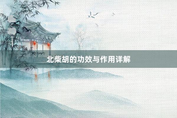北柴胡的功效与作用详解
